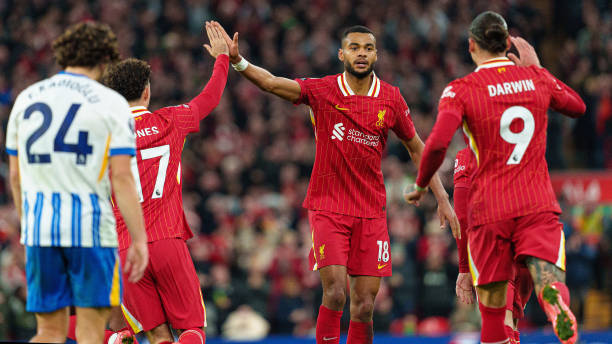 市场营销和 市场营销和